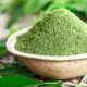 How to use moringa powder for weight loss