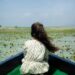 india, the iconic blogger